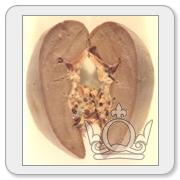 A random specimen from the collection. You will need to register and login to get details and view higher resolution images.