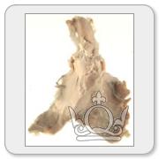 A random specimen from the collection. You will need to register and login to get details and view higher resolution images.
